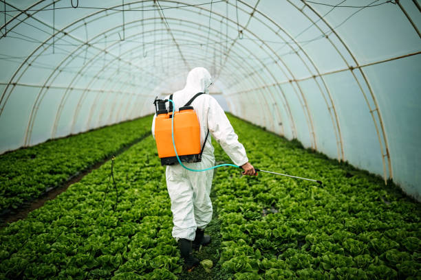 Best Best Pest Control Companies  in Langdon, ND
