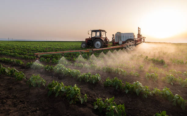 Best Wildlife Control Services  in Langdon, ND