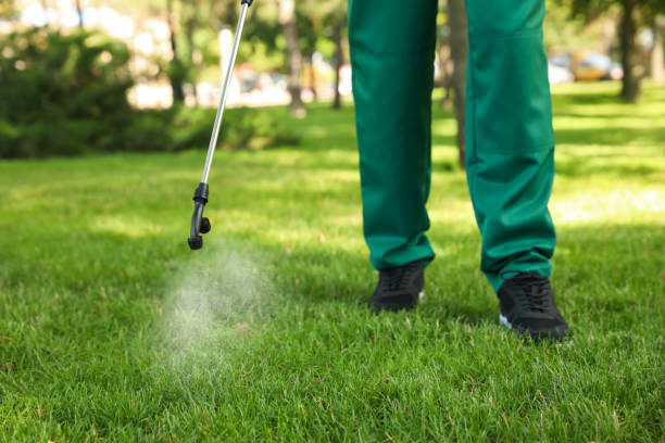 Best Insect Control  in Langdon, ND