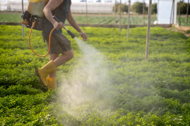 Best Emergency Pest Control  in Langdon, ND