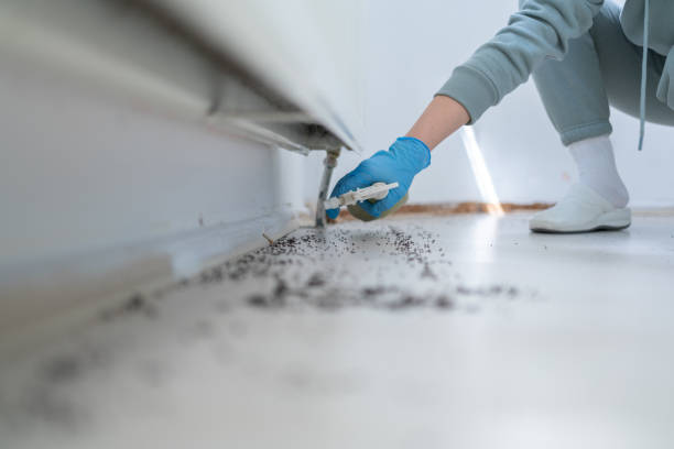 Reliable Langdon, ND Pest Control Solutions