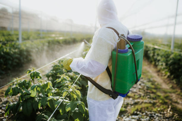 Best Bed Bug Extermination  in Langdon, ND
